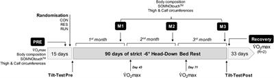 Running vs. resistance exercise to counteract deconditioning induced by 90-day head-down bedrest